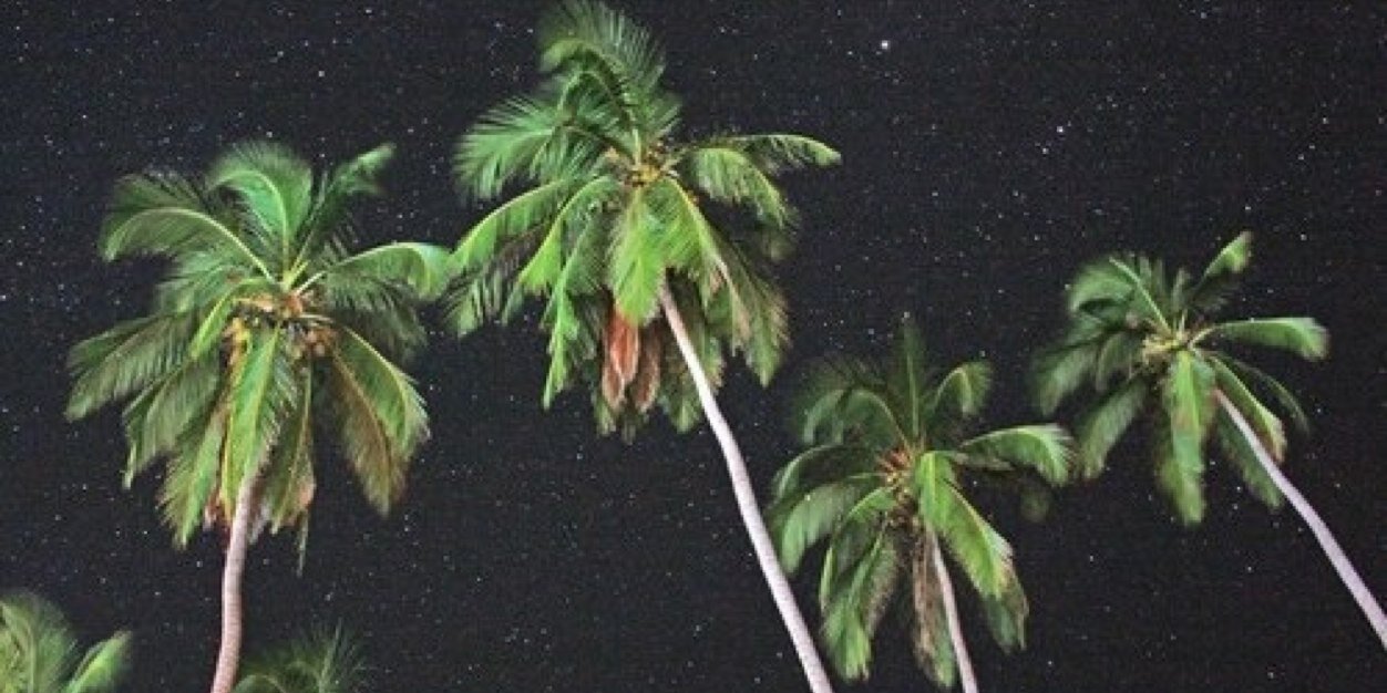 Anna Wolf banner