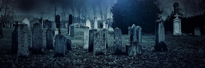 RayRayIIIWWE's profile banner image