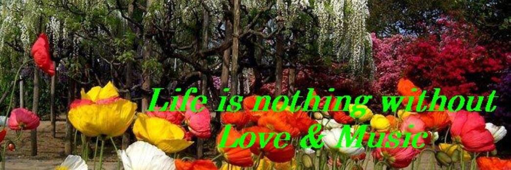 Teerdad Lavasani banner