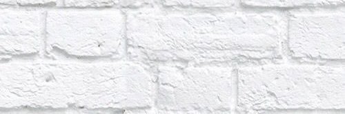 noelxleon's profile banner image
