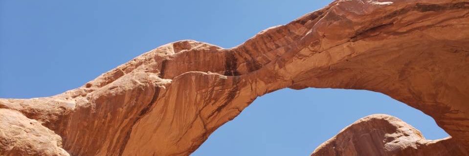 thommy 🐶👑 banner