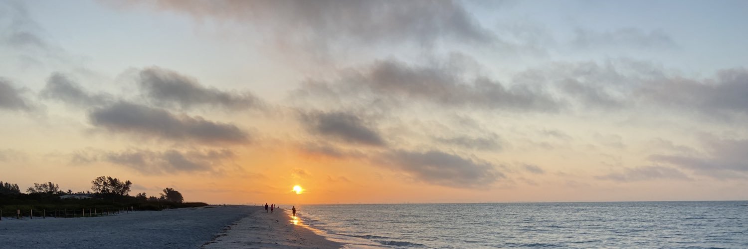 Susan Howlett banner