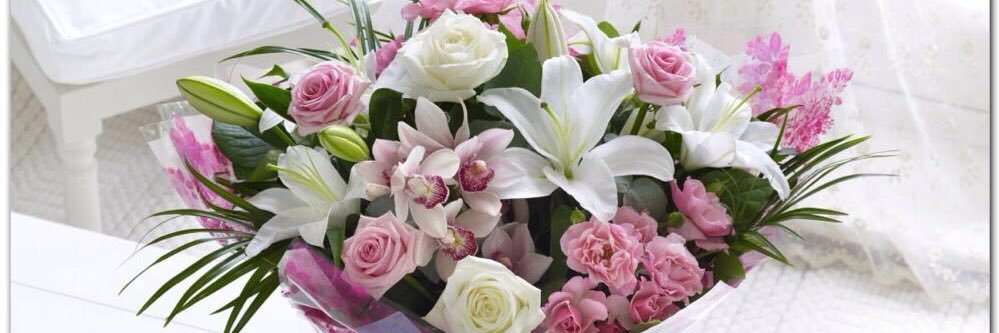 aicha_assaad's profile banner image