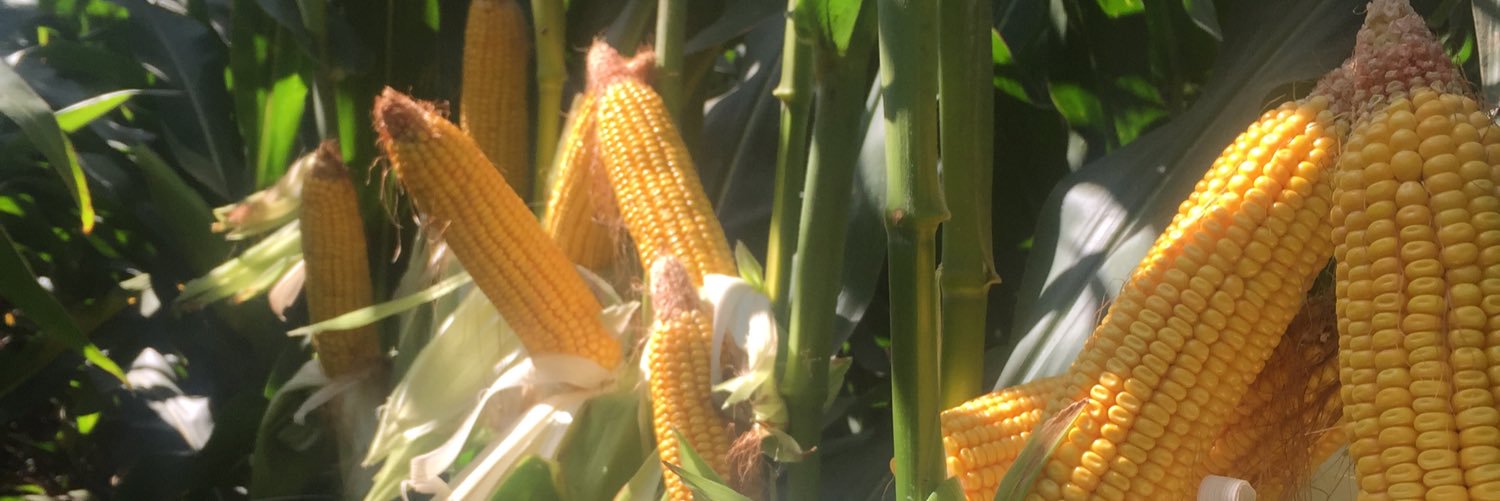 S_CFarms banner