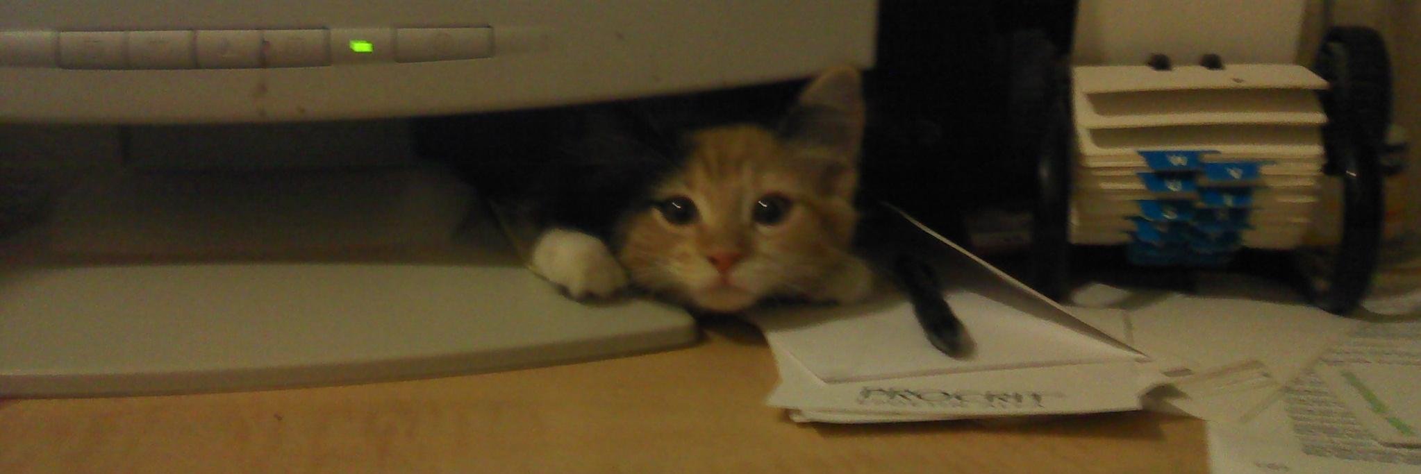 Jeff Showalter banner