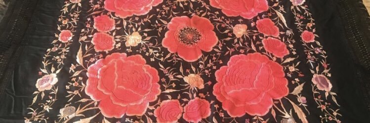 MIPerdigones's profile banner image