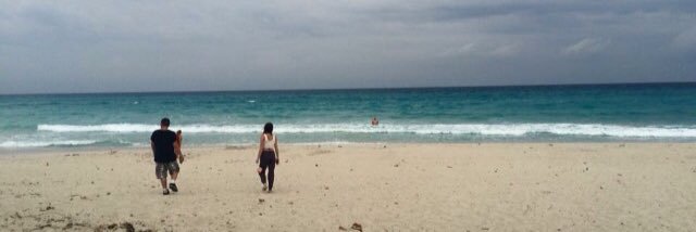 Meghan Lavoie banner