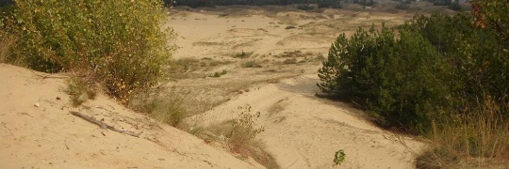 meyerbade's profile banner image