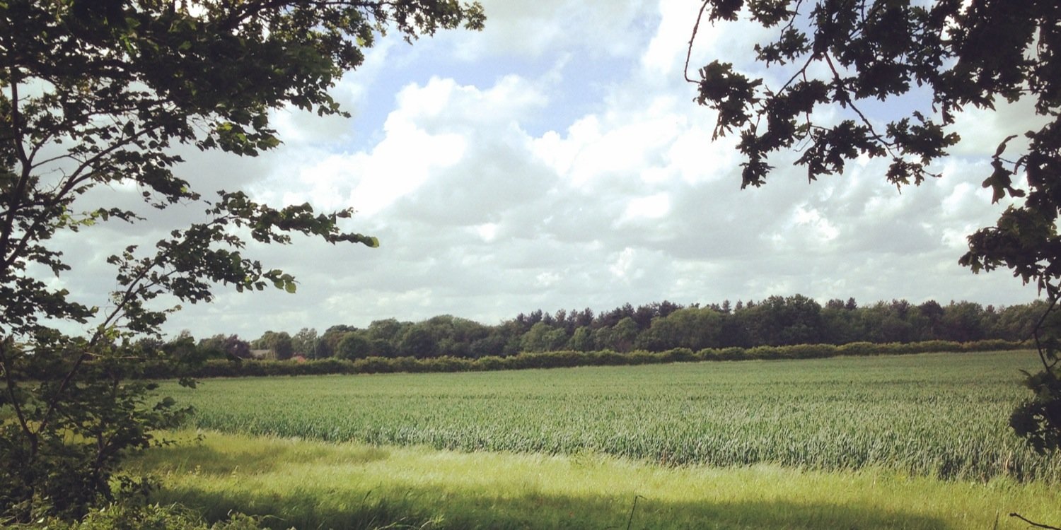 HLWilson_'s profile banner image