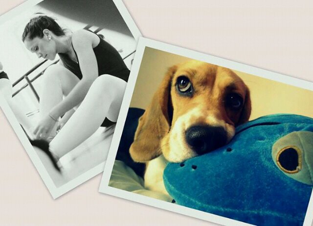 lu_moscoso's profile banner image