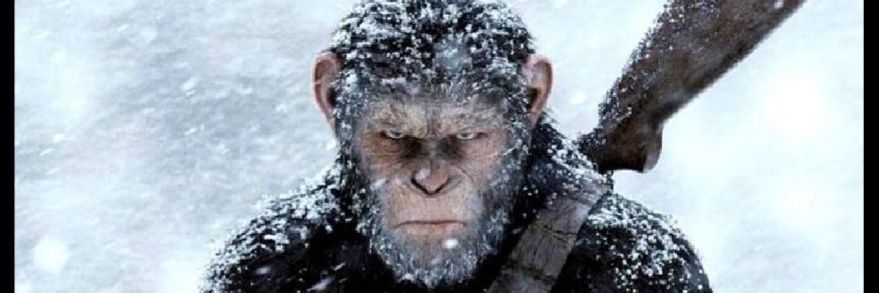 lon_braska's profile banner image