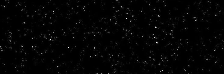 lorenaab12's profile banner image