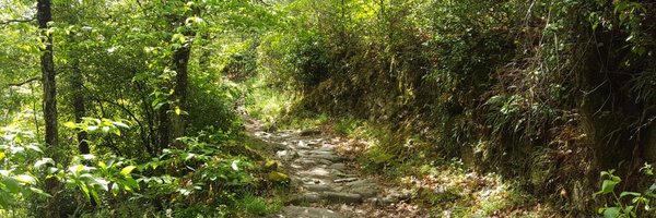 EstherEstebanRo Profile Banner