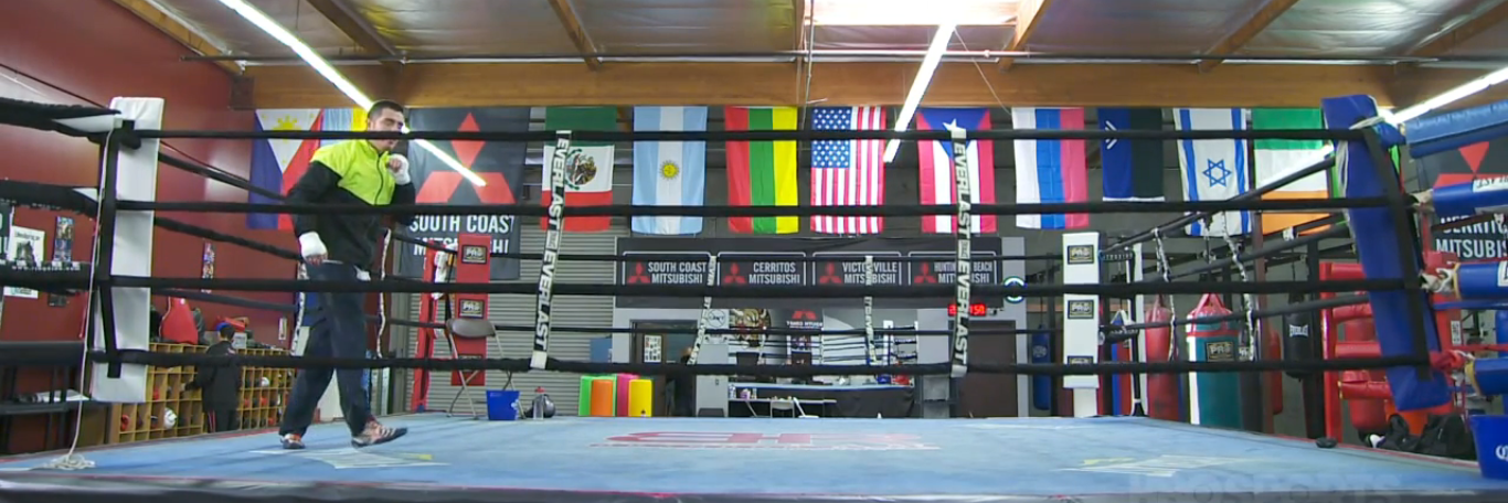 TheBoxingSeed's profile banner image