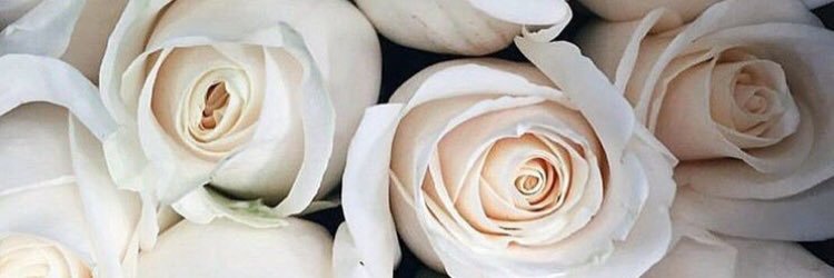 MissPHammond's profile banner image