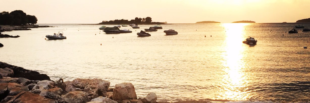 Patrick Bay banner