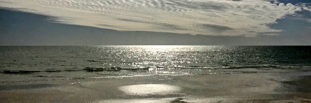sherritodd's profile banner image