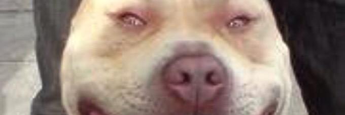 Jatt_Binning's profile banner image