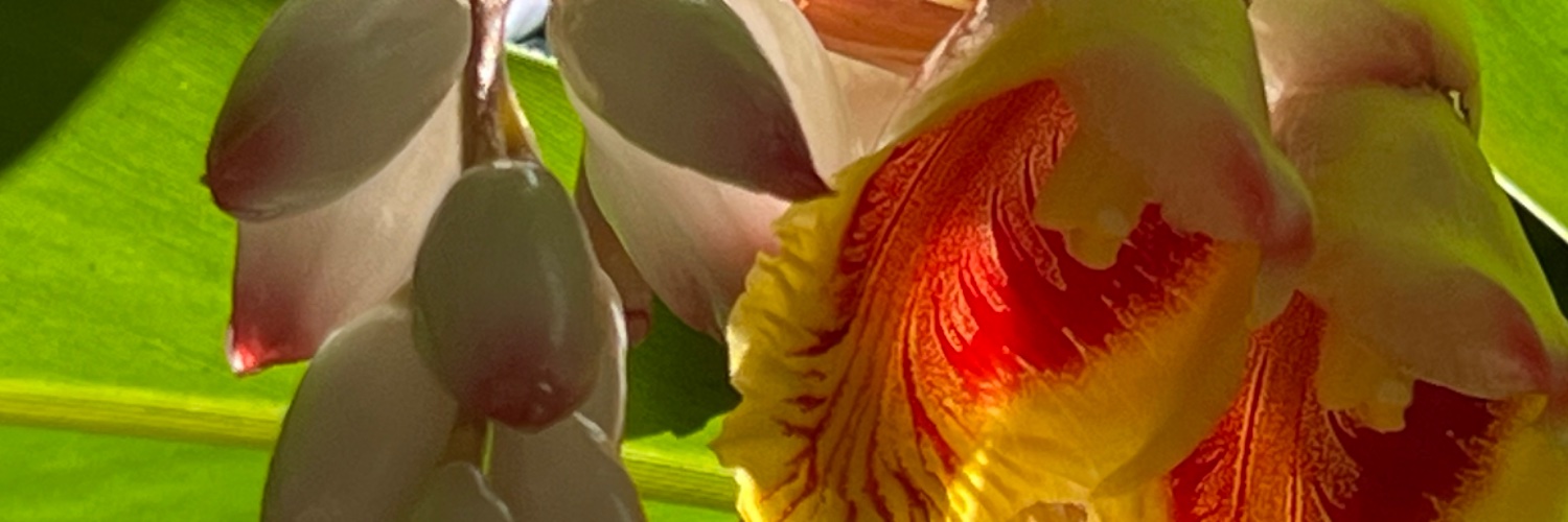 nlsnlp's profile banner image