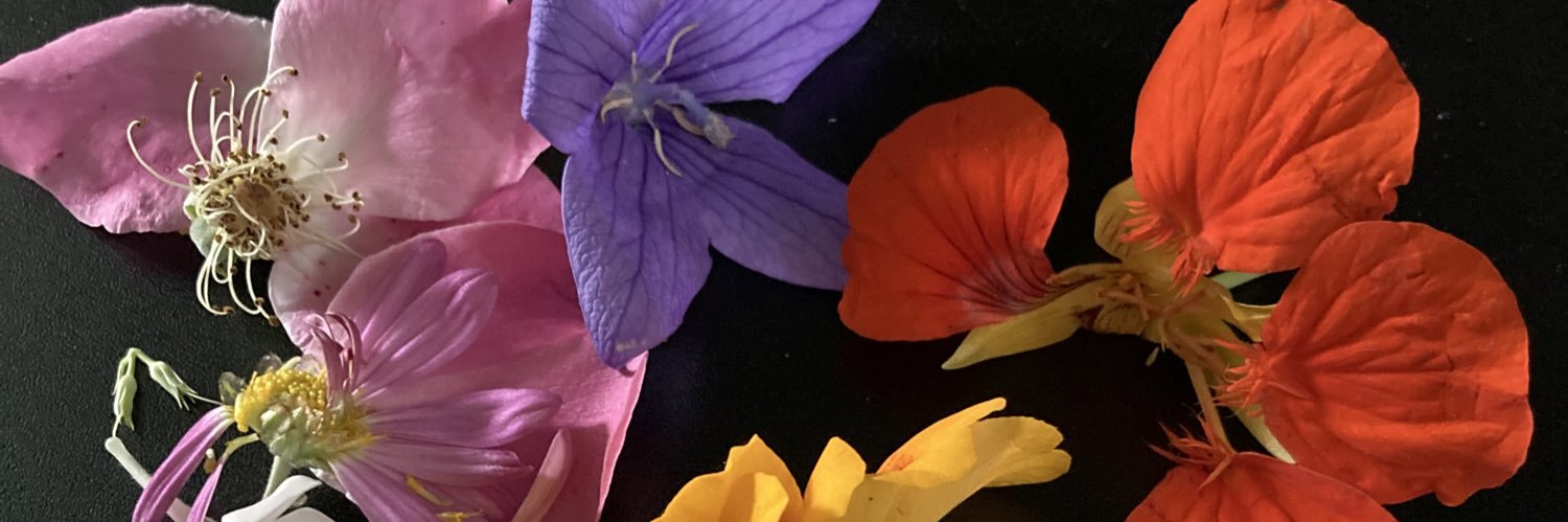 MLosure's profile banner image