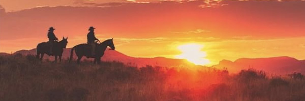 adpete's profile banner image