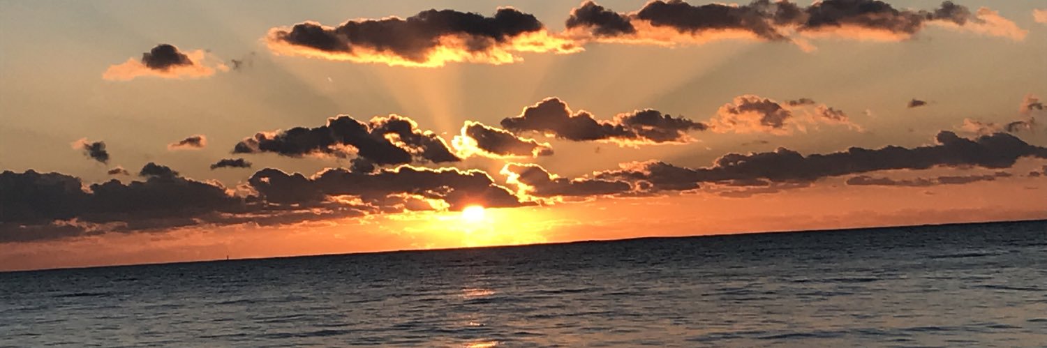 JouneauEmma's profile banner image