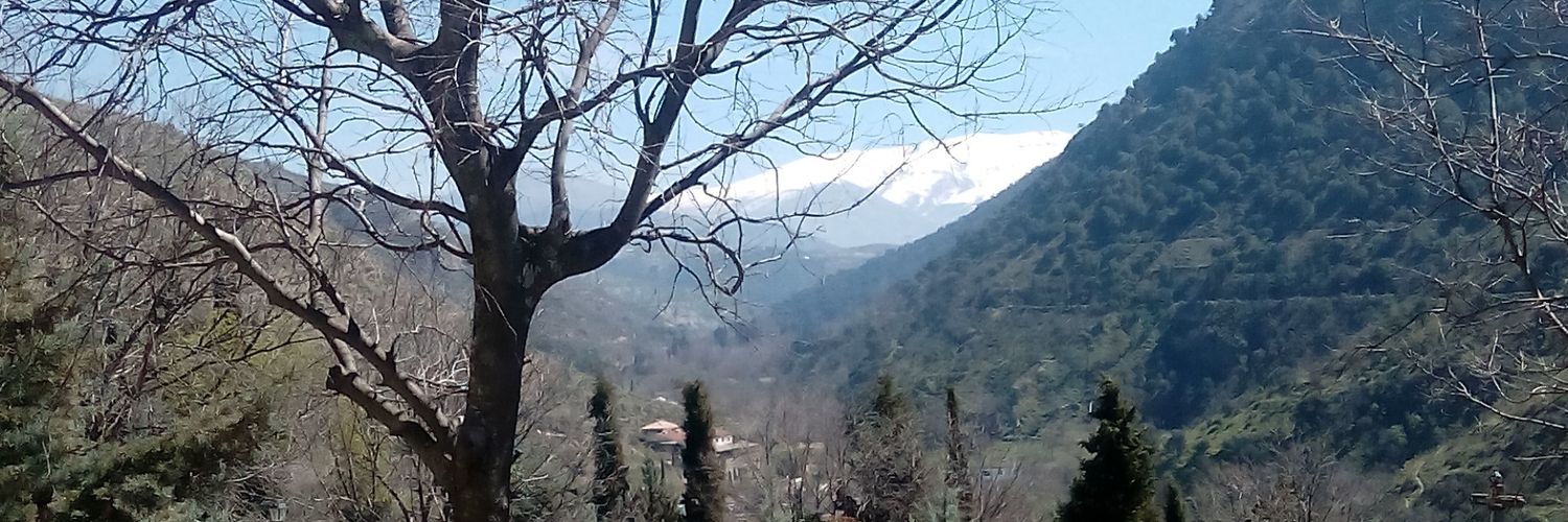 MariaIsabelEme's profile banner image