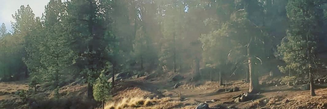 jedhammond's profile banner image