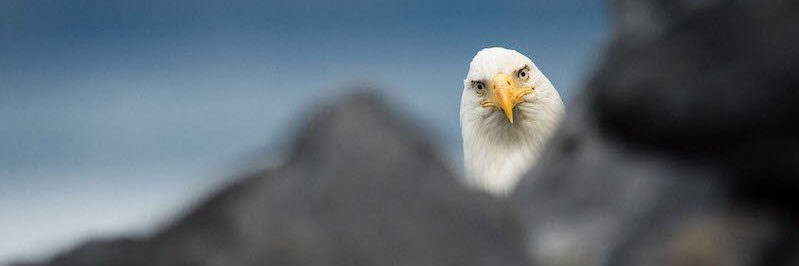 mvhelin's profile banner image