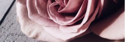 AngelUndersee's profile banner image