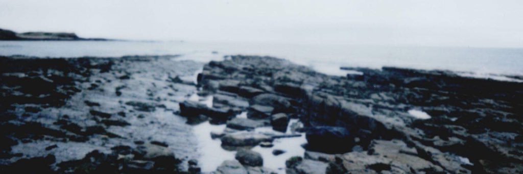 caroline banner