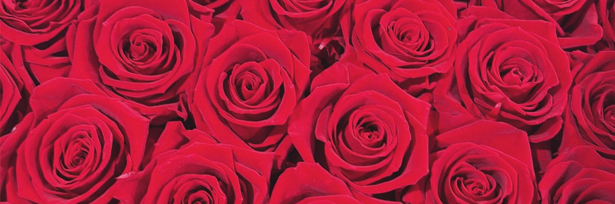 _queenharah's profile banner image