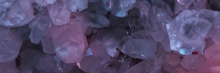 B🕊 banner
