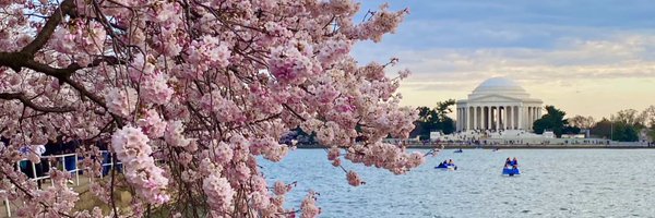 Magali21 Profile Banner