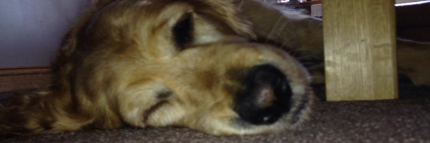 ScottMc_'s profile banner image