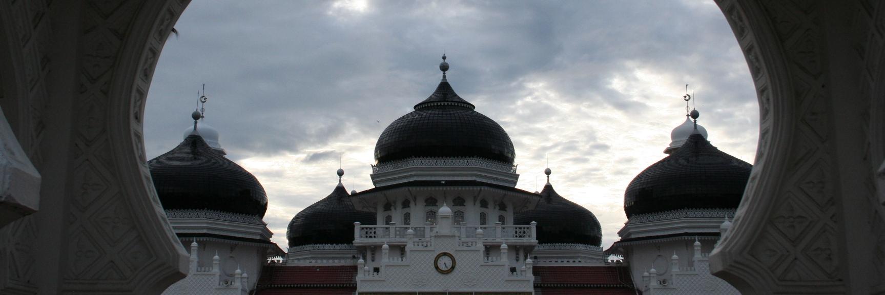 Richard Paddock banner