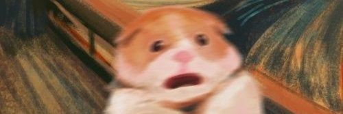 Phoebe Princess Macadamia banner