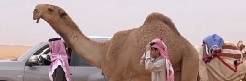 سالم بنن نايف banner