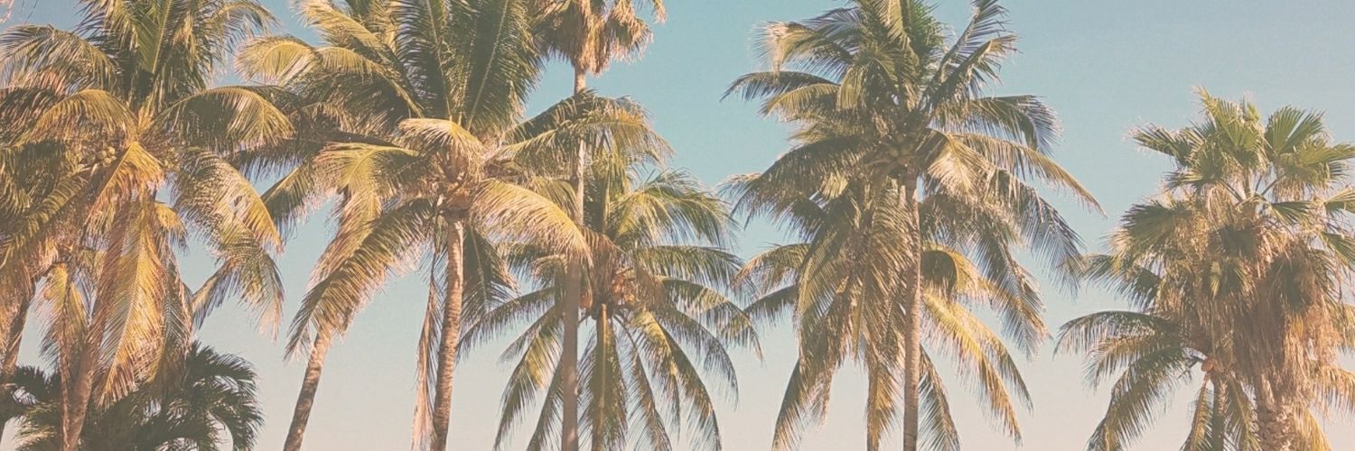 Recha_24's profile banner image