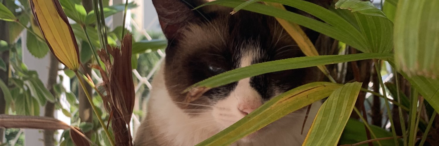 frduda_'s profile banner image
