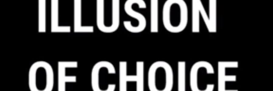 pajarito tuitero banner