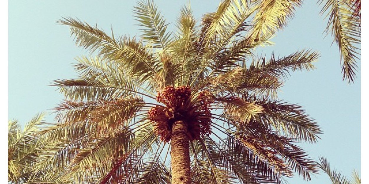 omyasser5's profile banner image