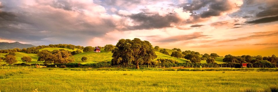 morosovdmitry's profile banner image