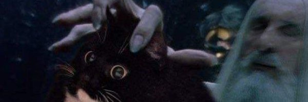 gryffyx Profile Banner