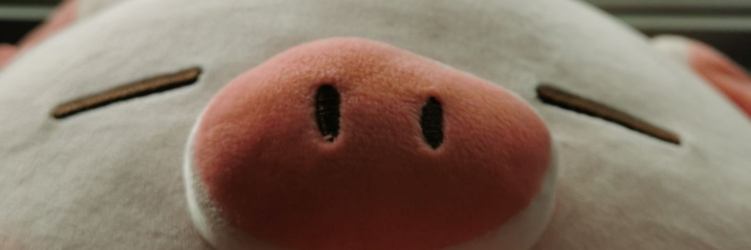 ko_oy's profile banner image