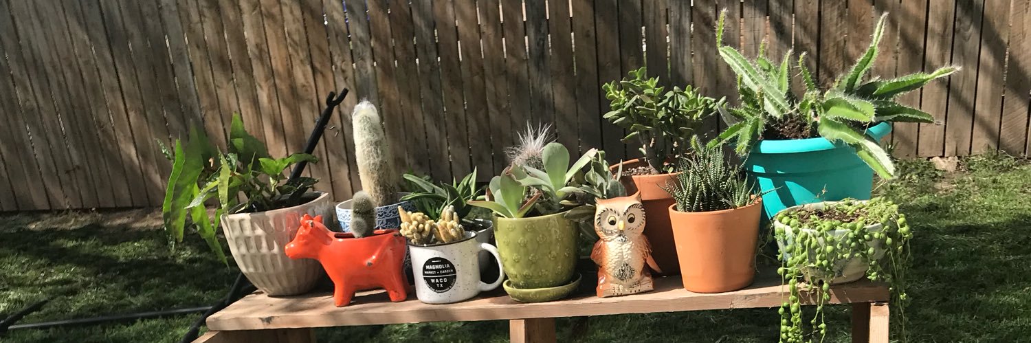 MichellePihl's profile banner image