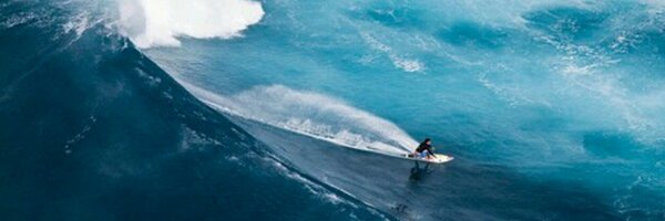 JRokeach Profile Banner