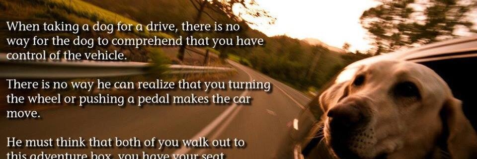 Sam_Mwangi1's profile banner image