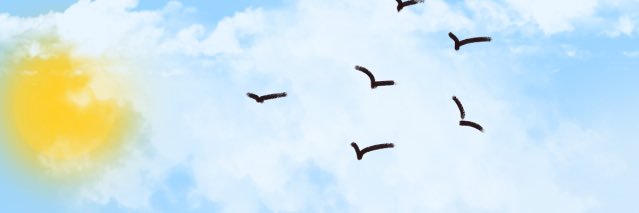 floonh55's profile banner image