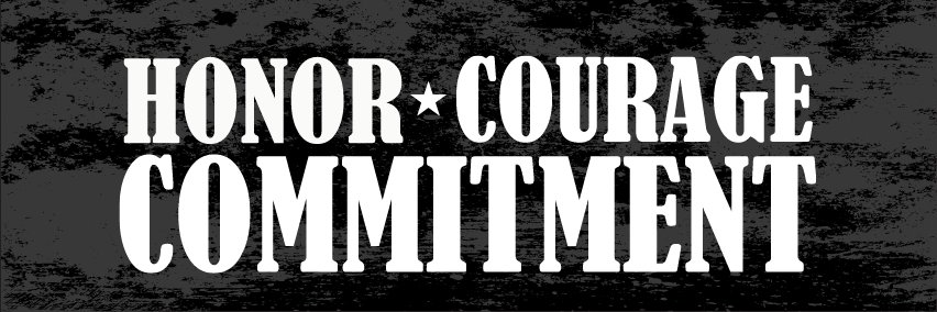 HCCVet banner